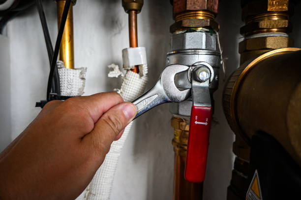 Best Best Plumbers Near Me  in Pocono Woodland Lakes, PA